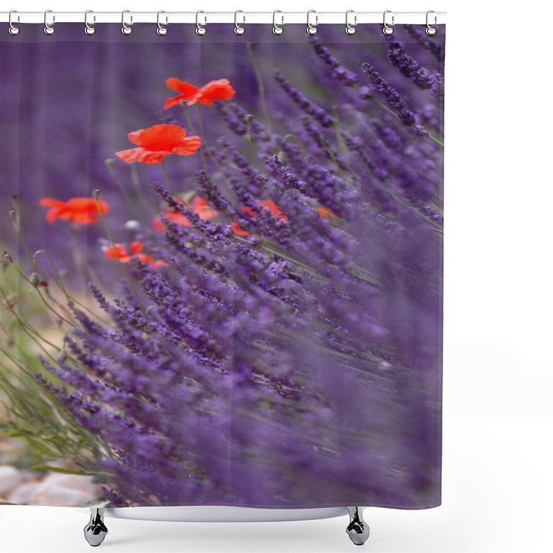 Personality  Purple Flowers, Lavender Filed Shower Curtains