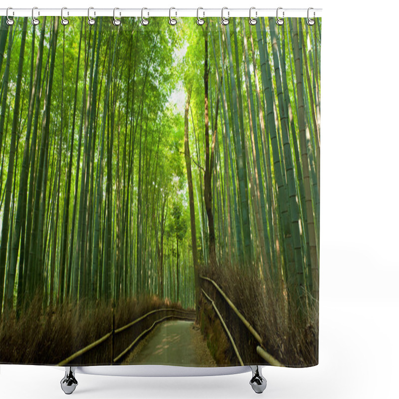 Personality  Bamboo Grove Shower Curtains