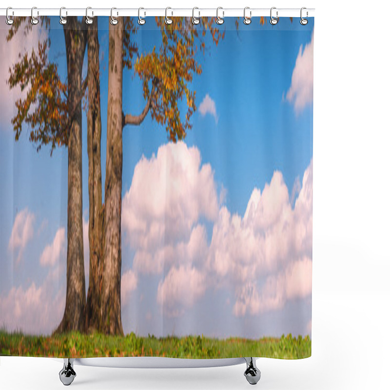 Personality  Lonely Oak Shower Curtains