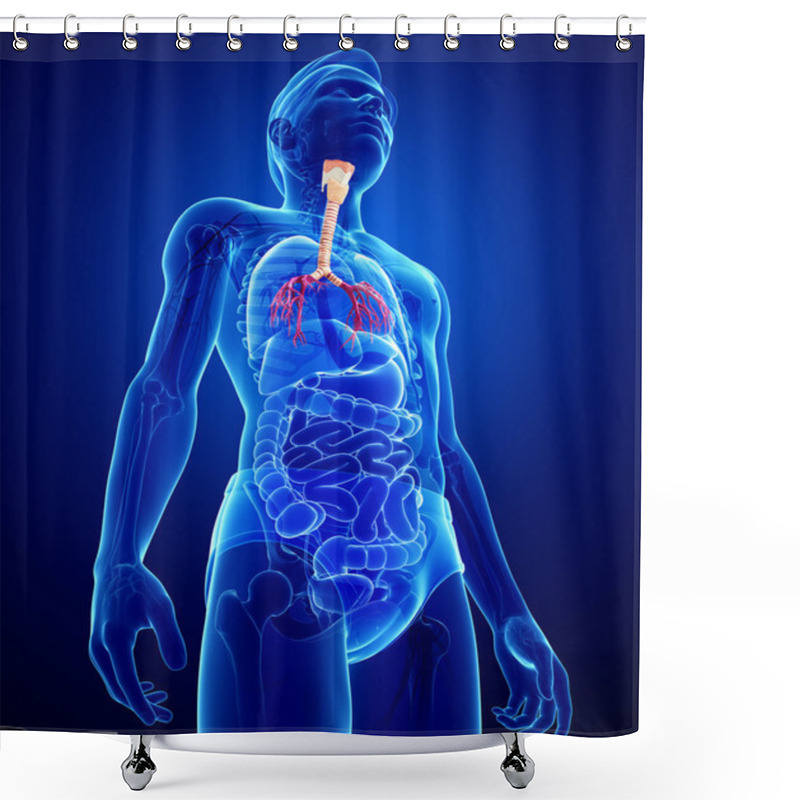 Personality  Male Throat Anatomy Shower Curtains