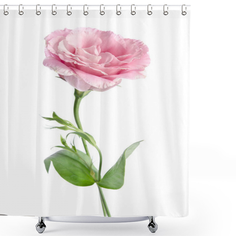 Personality  Beautiful Eustoma Flower Shower Curtains