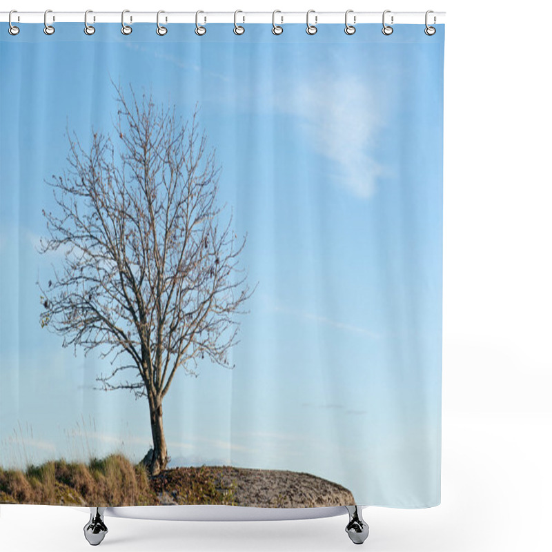 Personality  Bare Tree Shower Curtains