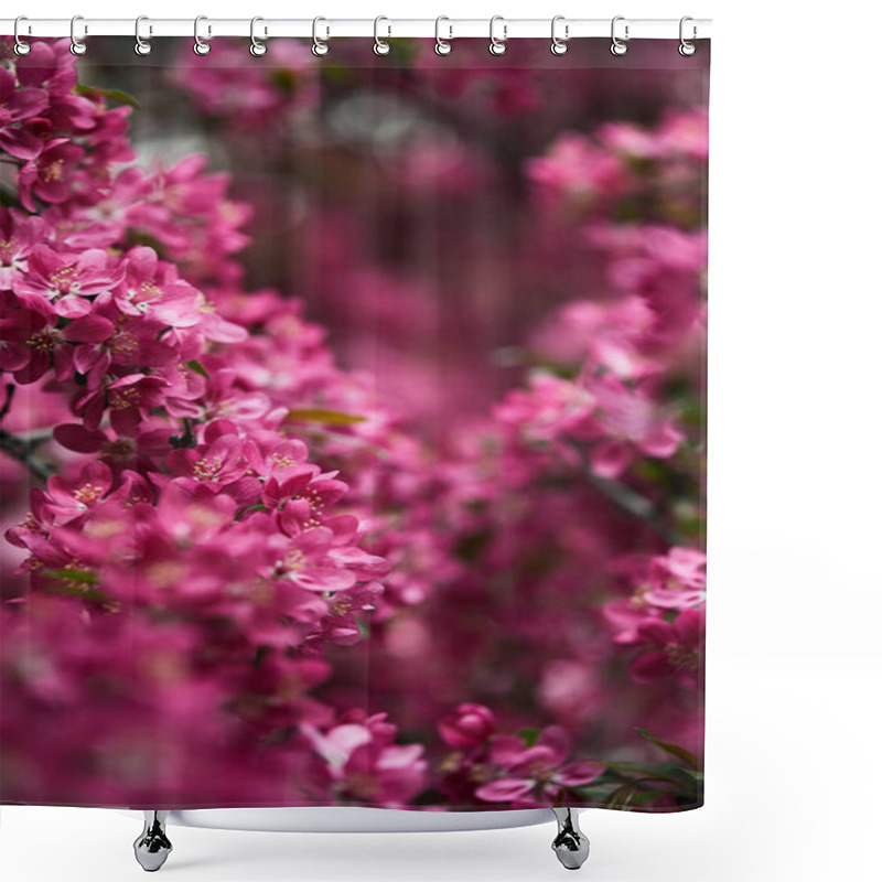 Personality  Close-up Shot Of Pink Cherry Flowers On Tree Shower Curtains