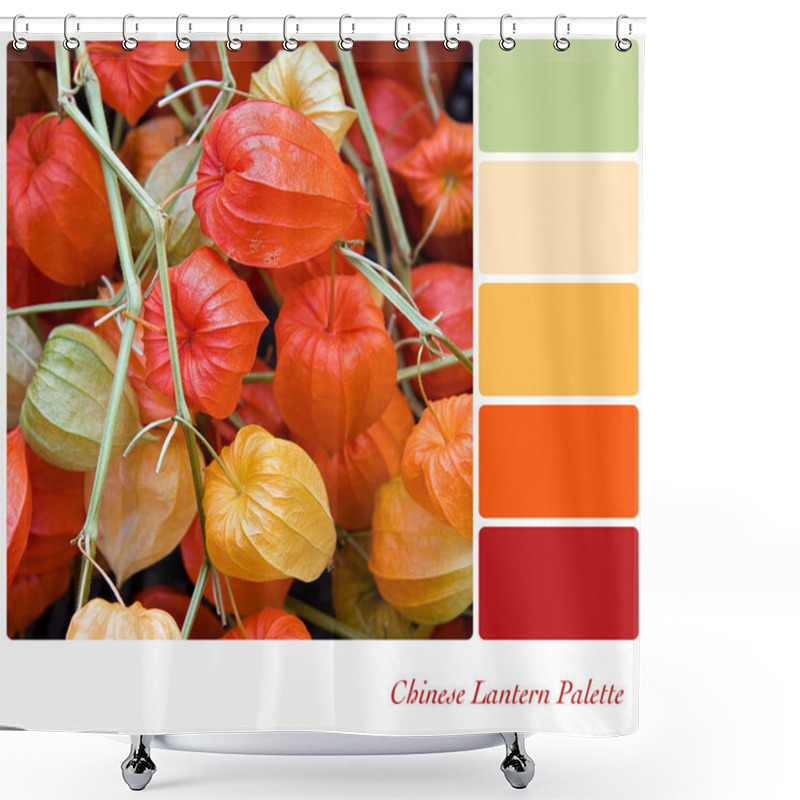 Personality  Chinese Lantern Palette Shower Curtains