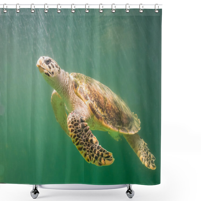 Personality  Marine Turtle Under The Deep Green Sea Shower Curtains