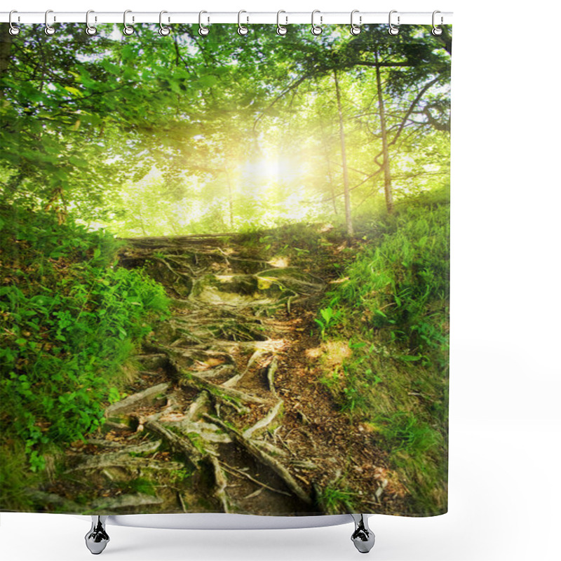 Personality  Sunshine In A Forest Shower Curtains