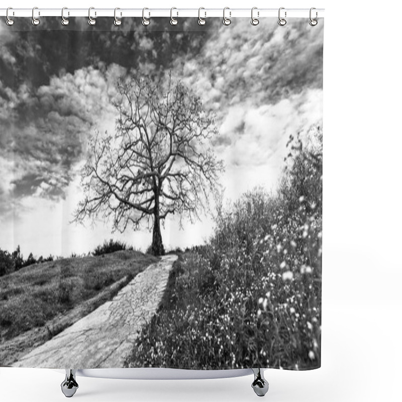 Personality  The Path To The Ancient Bombax Ceiba Tree With Dramatic Sky Embellishes The Beauty Of Northern Vietnam Shower Curtains