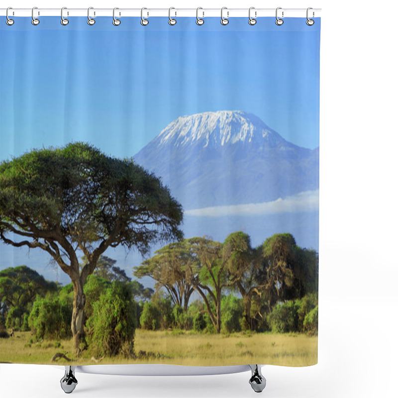 Personality  Kilimanjaro Shower Curtains