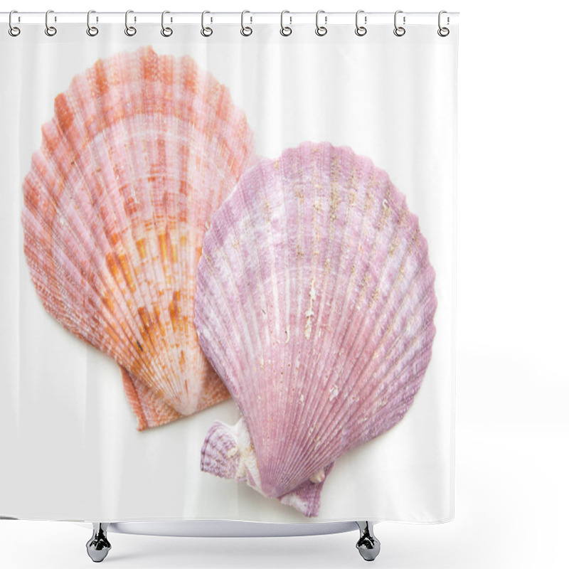 Personality  Clam Mollusc Shells Isolated On White  Shower Curtains