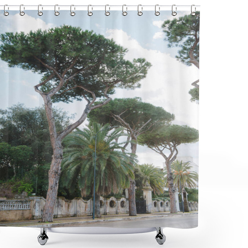 Personality  Pine Trees Shower Curtains