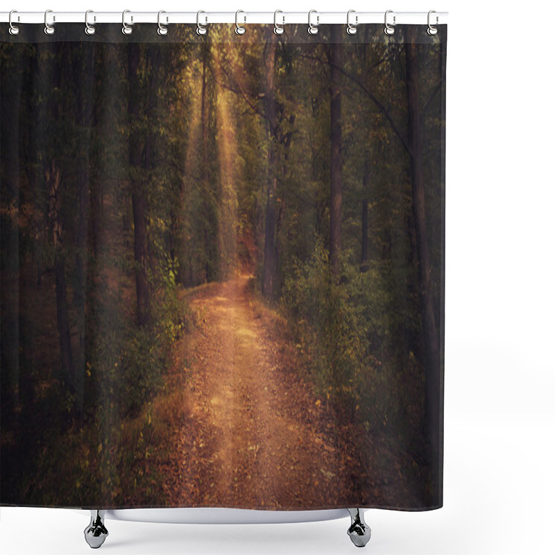 Personality  Mystic Forest Road Under Sunset Sunbeams Shower Curtains