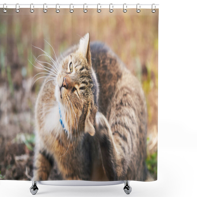 Personality  Cat Scratching Head Shower Curtains