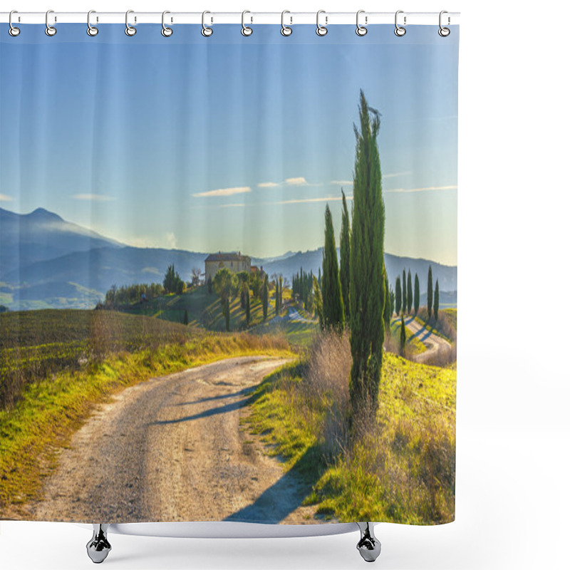 Personality  Cypress Trees On The Road To A Farmhouse In The Tuscan Landscape Shower Curtains