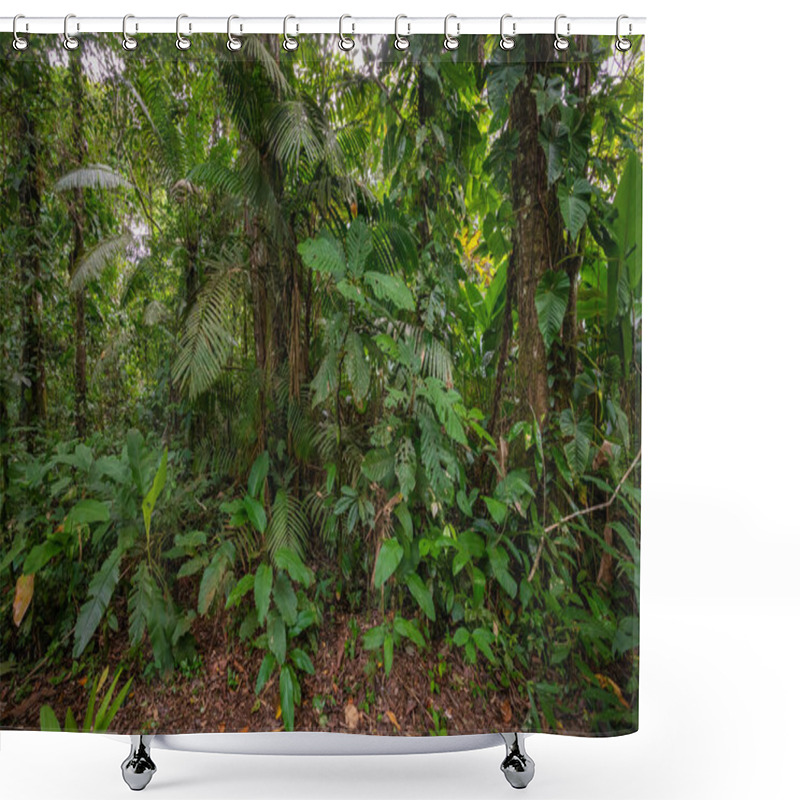 Personality  Amazon. Tropical Rainforest. Jungle Landscape. Amazon Yasuni National Park, Ecuador. South America. Shower Curtains