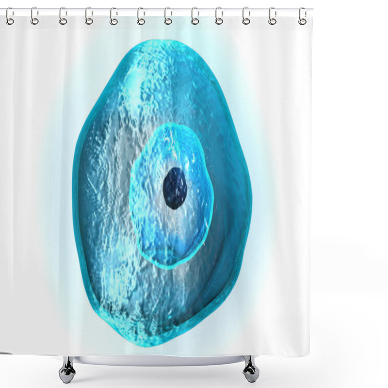 Personality  Digital Illustration Of Ovum Cell In Colour   Shower Curtains