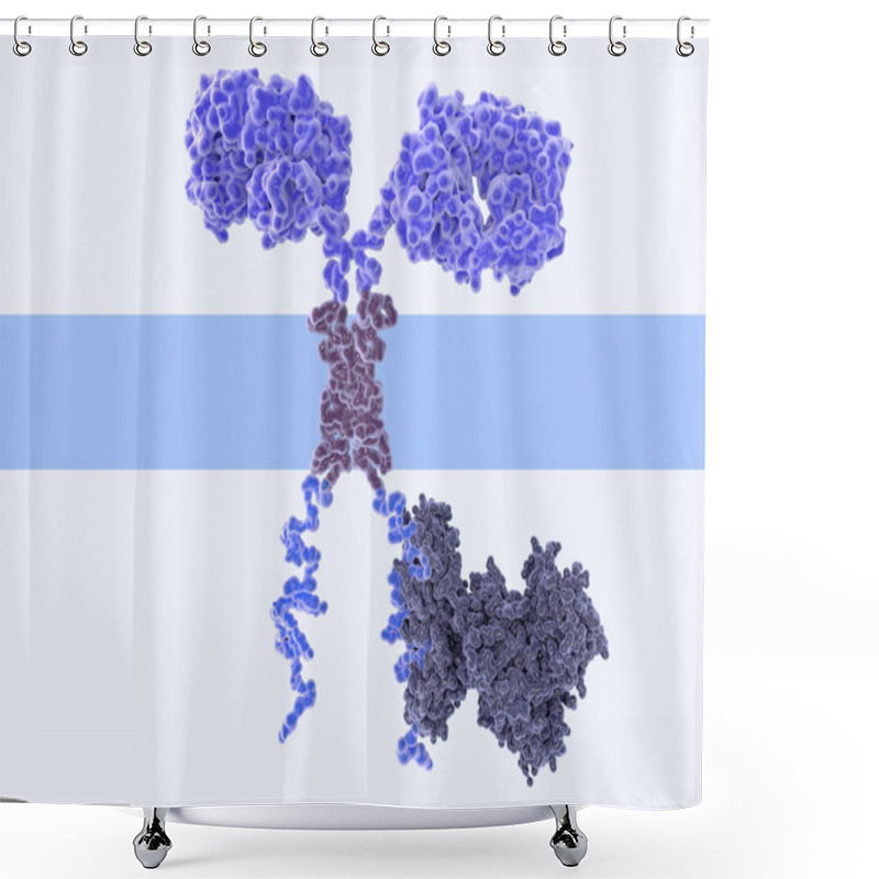 Personality  3d Computer Illustration Of A Chimeric Antigen Receptor. CARs Are Engineered Cell Receptors That Allow T Cells To Recognize/attack Specifically Cancer Cells. A Signal Protein Is Attached To The Intracellular Domain. Shower Curtains