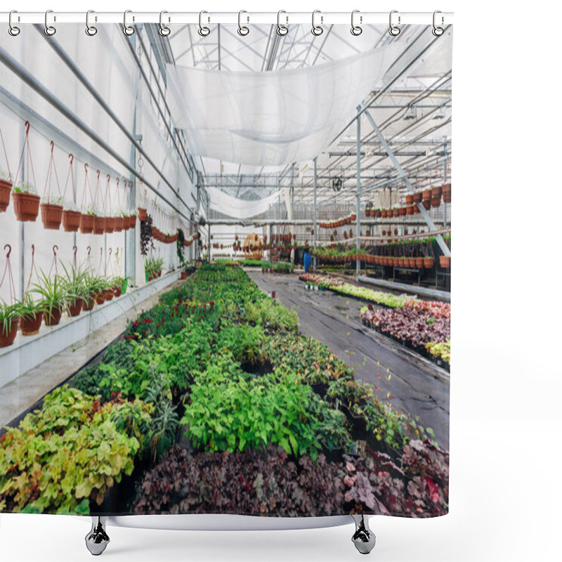 Personality  Growing Of Ornamental Plants, Shrubs And Flowers For Gardening I Shower Curtains