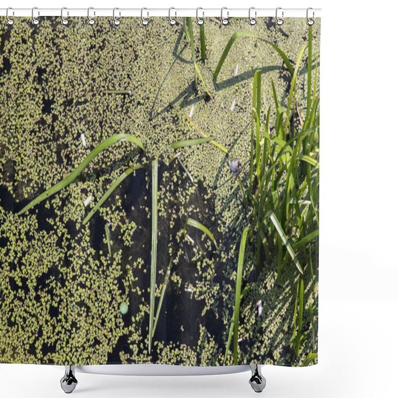 Personality  Green Algae Bloom In The River. Shower Curtains