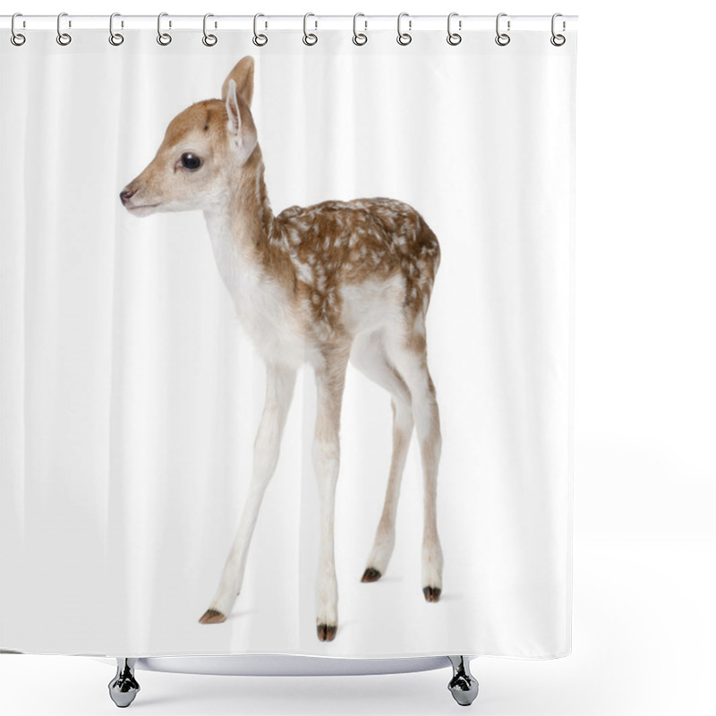 Personality  Side View Of Fallow Deer Fawn, Dama Dama, 5 Days Old, Standing Against White Background, Studio Shot Shower Curtains