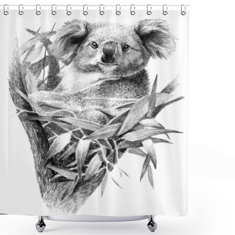 Personality  Koala Bear Isolated On White Background. Pencil Drawing, Monochrome Image Shower Curtains