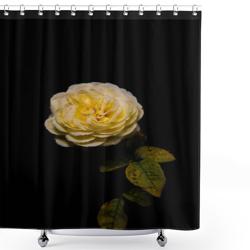 Personality  Yellow Roses Blooming On A Dark Background Shower Curtains