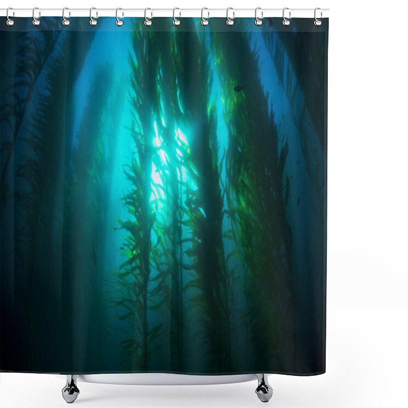 Personality  Kelp Bed Shower Curtains