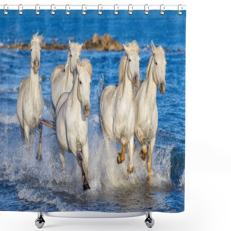 Personality  White Camargue Horses Galloping On Blue Water Of The Sea. France. Shower Curtains