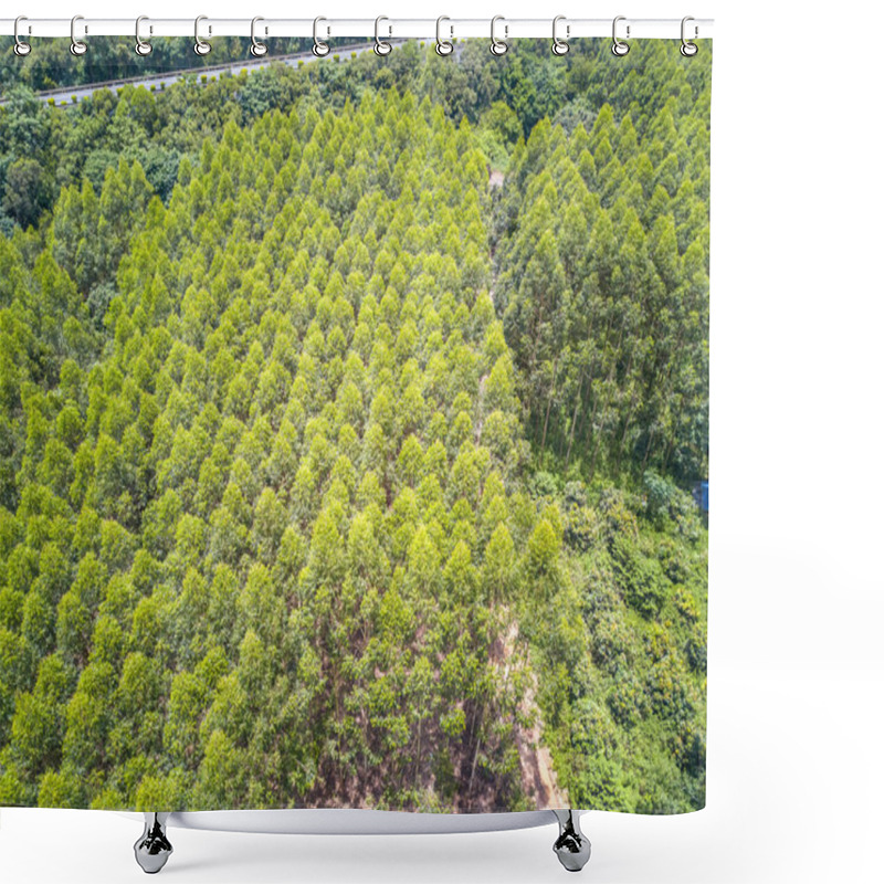 Personality  Aerial Photography Of Wild Field Plants And Blue Sky And White Clouds In Guangxi, China Shower Curtains