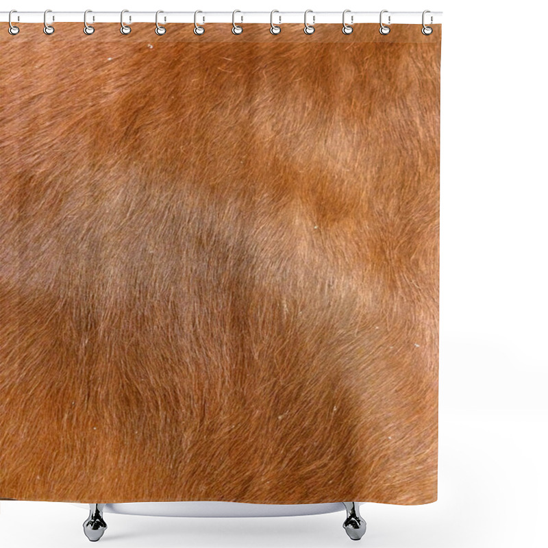 Personality  Fur Texture Shower Curtains