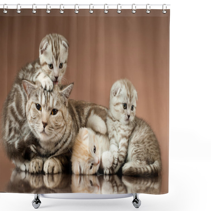 Personality  Kittens Shower Curtains