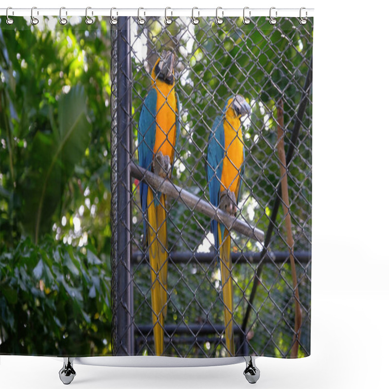 Personality  Two Vibrant Blue-and-yellow Macaws Perched Together In A Cage. Their Striking Feathers In Shades Of Blue And Yellow Stand Out Against The Metal Wire, Creating A Vivid And Colorful Scene. Shower Curtains