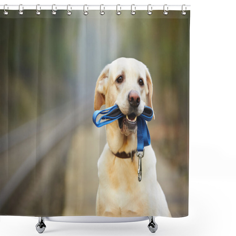 Personality  Dog On The Railway Platform Shower Curtains