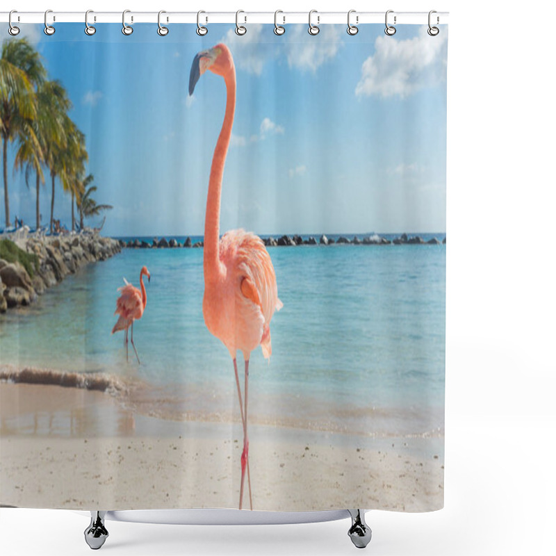 Personality  Three Flamingos On The Beach Shower Curtains