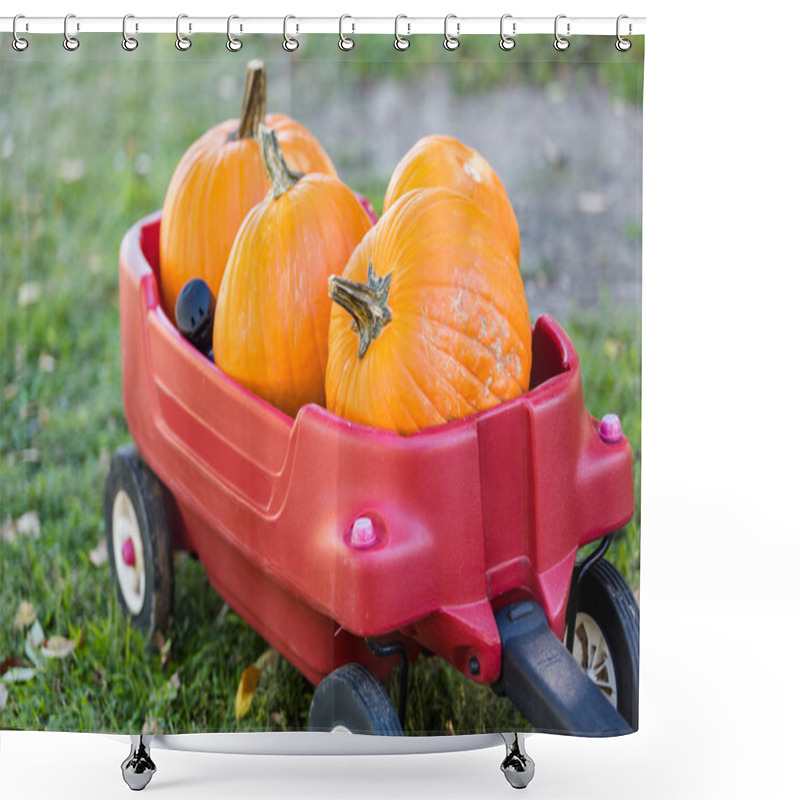 Personality  Pumpkin Patch Shower Curtains