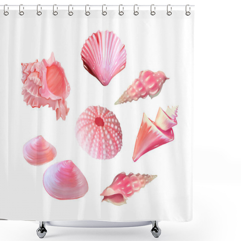 Personality  Set Of Pink Seashells. Vector Illustration. Under The Sea. Underwater Purple Life. Pink Urchin. Mollusc. - Vector Illustration Shower Curtains