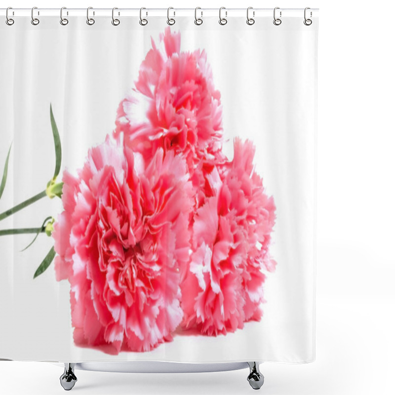 Personality  Three Pink Carnations Shower Curtains