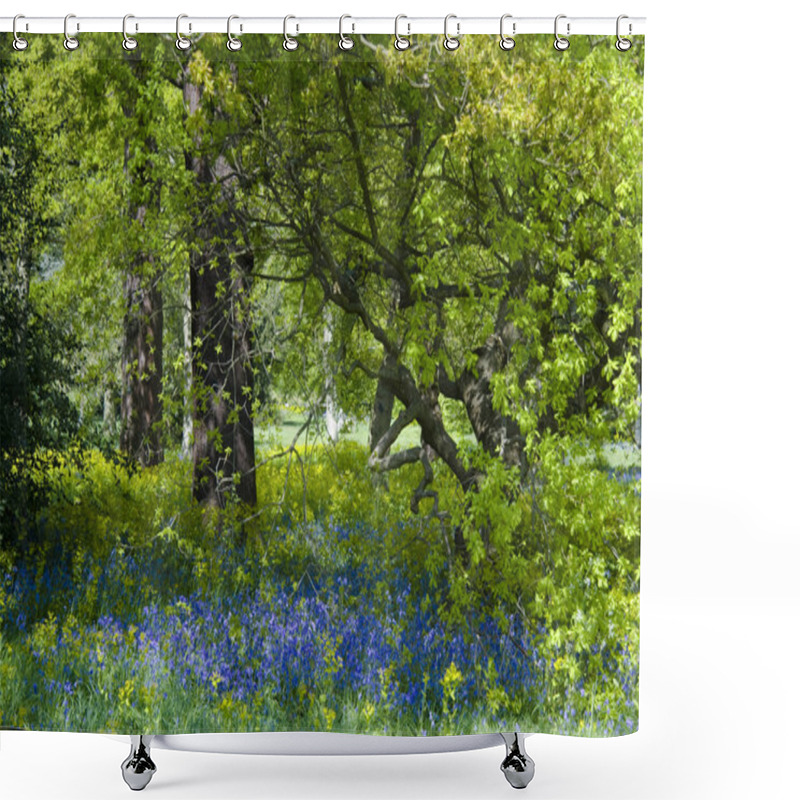 Personality  Bluebell Wood Shower Curtains