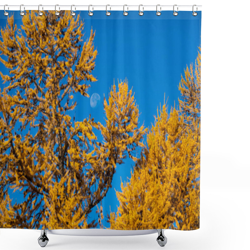 Personality  Bright Yellow Autumn Trees With A Visible Moon And A Clear Blue Sky Symbolize The Beauty Of Nature. The Foliage Contrasts Against The Crisp Atmosphere Creating An Enchanting Seasonal Scene. Shower Curtains