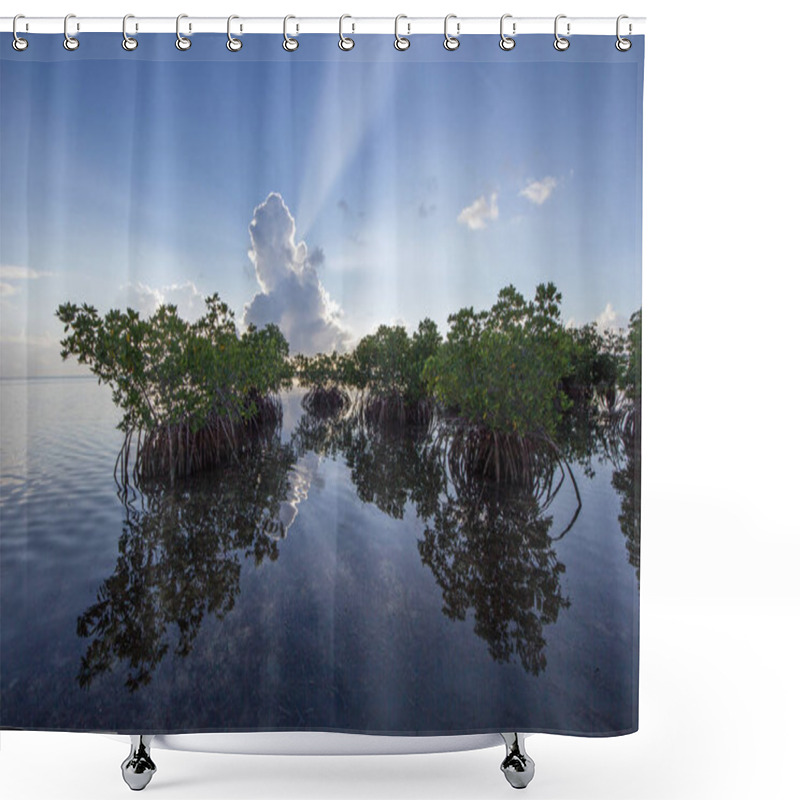 Personality  Sun Rays Behind Mangroves In Biscayne National Park, Florida. Shower Curtains