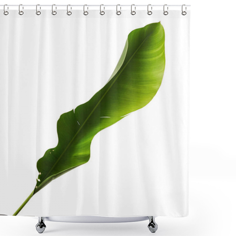 Personality  Strelitzia Reginae, Heliconia, Bird Of Paradise Foliage Isolated On White Background, With Clipping Path Shower Curtains