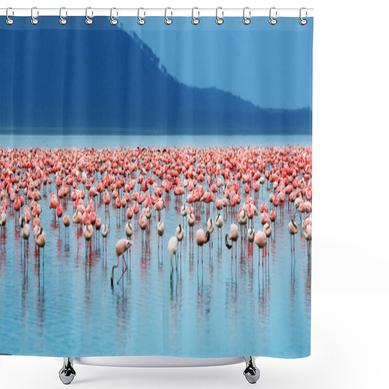 Personality  African Flamingos Shower Curtains