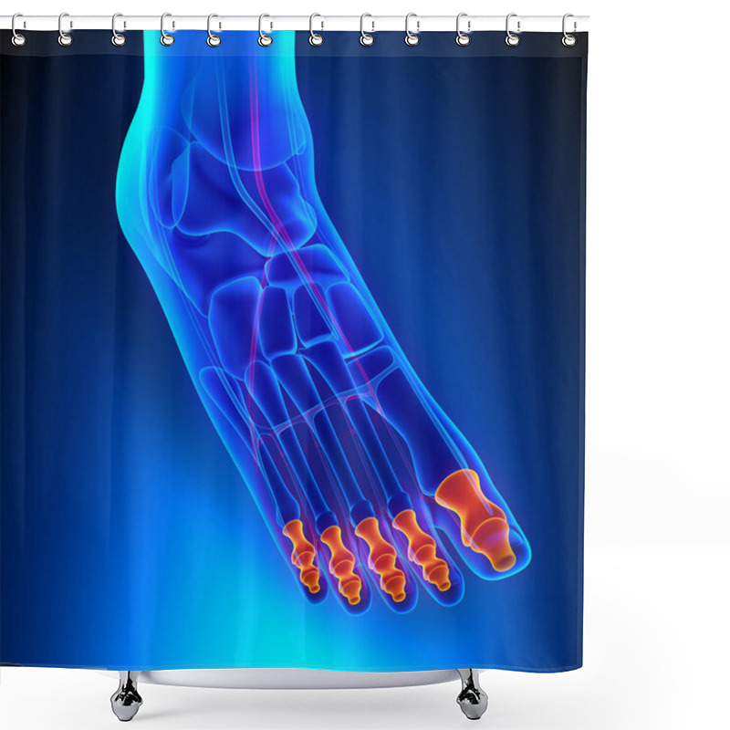 Personality  Phalanges Anatomy Bones With Ciculatory System Shower Curtains