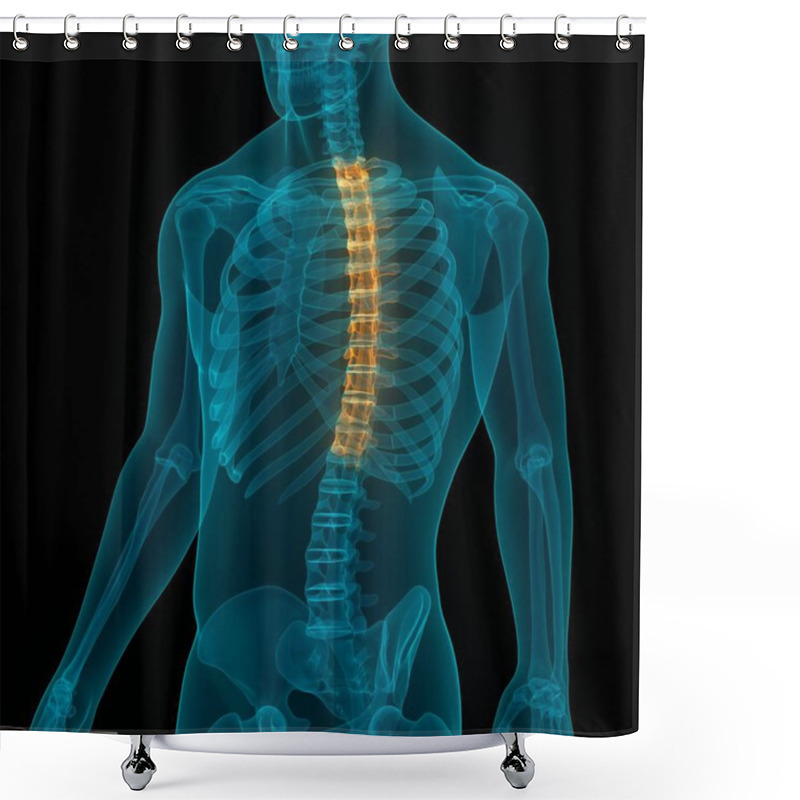 Personality  Vertebral Column Thoracic Vertebrae Of Human Skeleton System Anatomy. 3D Shower Curtains