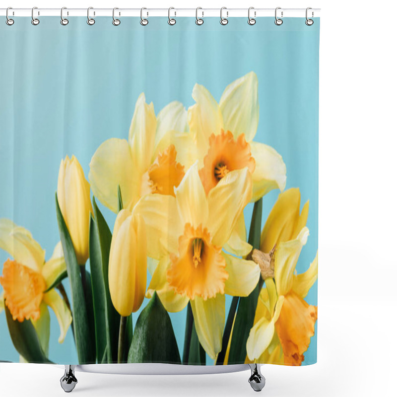 Personality  Close Up View Of Beautiful Tulips And Daffodil Flowers Isolated On Blue Shower Curtains