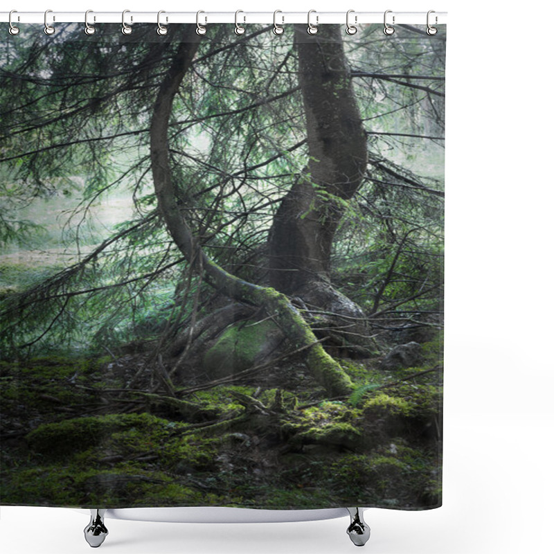 Personality  Magic Forest Shower Curtains