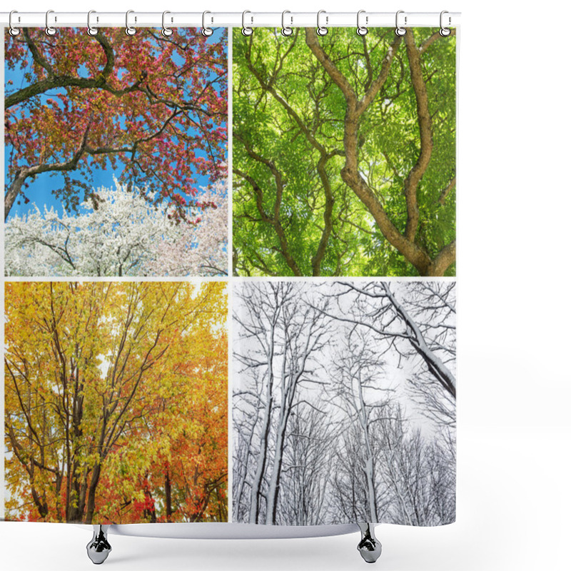 Personality  Trees In Spring, Summer, Autumn And Winter Shower Curtains