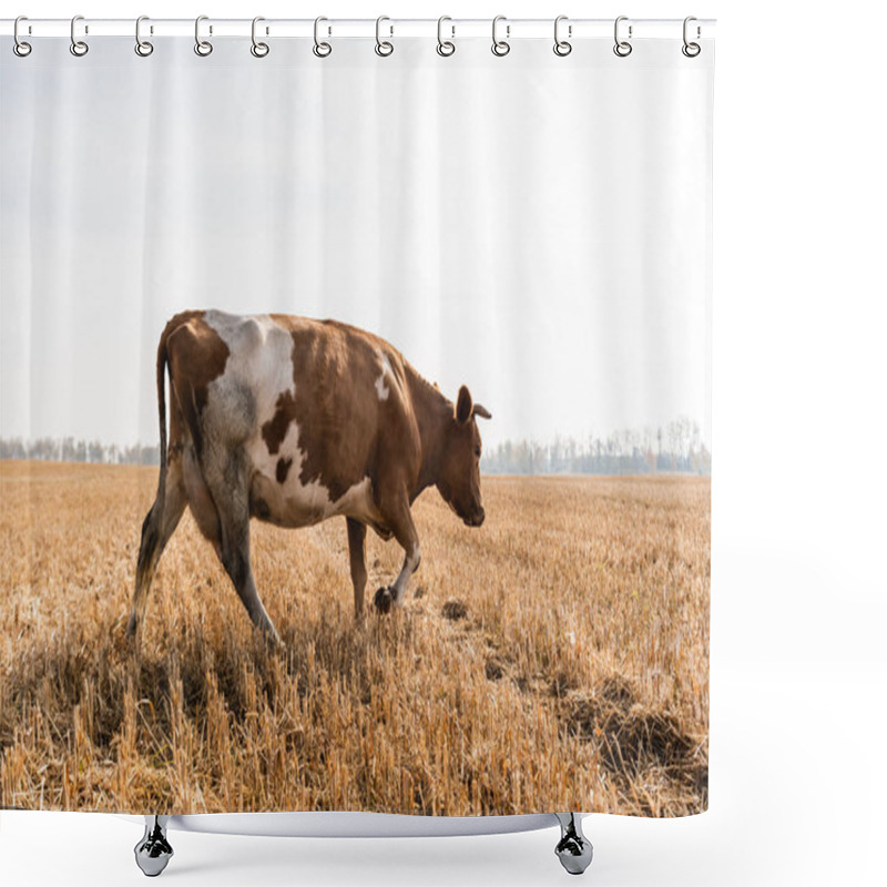 Personality  Bull Walking In Golden Lawn Against Cloudy Sky  Shower Curtains