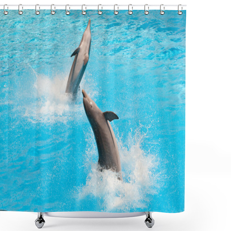 Personality  Dolphins Shower Curtains