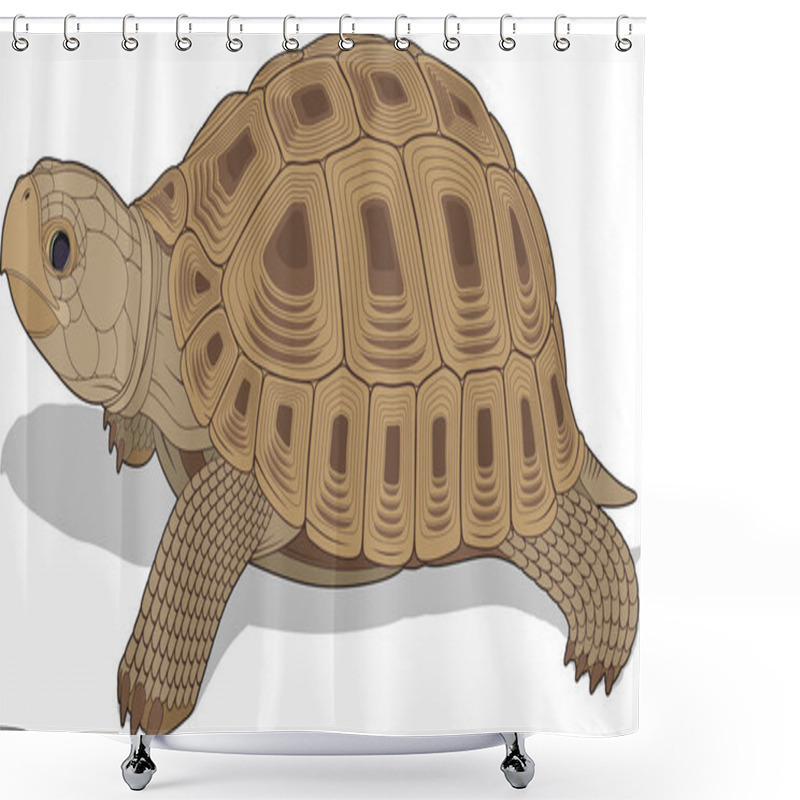 Personality  Vectorial Illustration Of Steppe Tortoise Shower Curtains