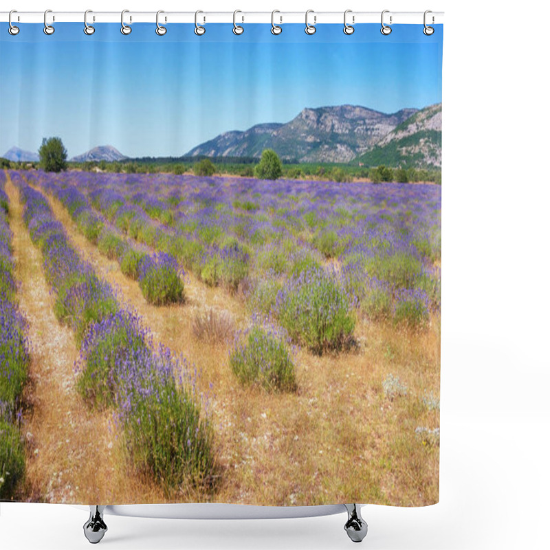 Personality  Mountain Valley In Dinaric Alps With  Field Of Lavender. Bosnia And Herzegovina, Republika Srpska, Zubacko Polje Shower Curtains